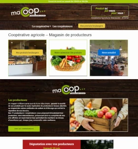 creation site internet grenoble
